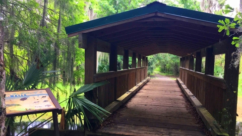 Covered wooden walkway and interpretive sign