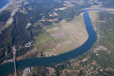 Aerial View of the Ni-les'tun Marsh Restoration in 2009