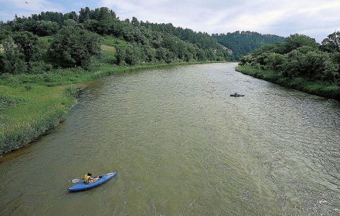 Two kayakers in a dark-green-colored river flowing through beautiful forested land