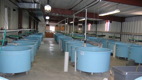 Hatchery circular tanks Ouray Grand Valley Unit
