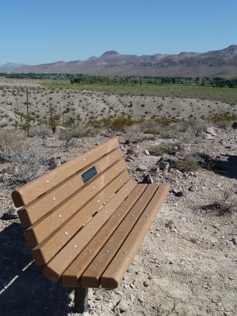 Bench at Davenport Trail Pahranagat NWR