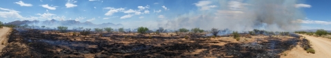 a panorama of a controlled burn on a refuge with smoke in the air and blue skies in the backgroud