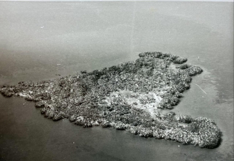 A black and white image of pelican island from 1961
