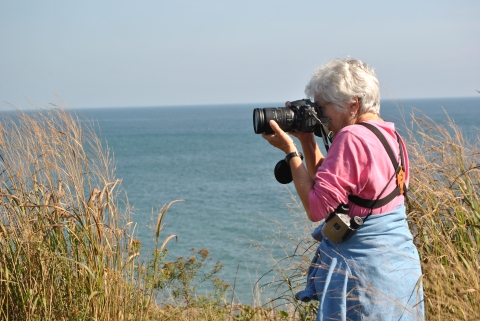 A woman with white hair and wearing a pink top aims a long-lens camera at some tall grasses. Behind her is a big body of water.