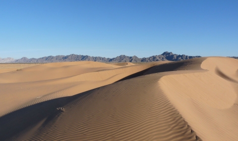 Smooth, dark tan-colored sand dunes with mountains on the horizon under deep blue skies