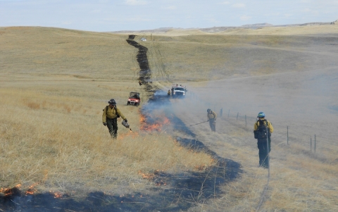 Staff conducting a prescribed fire with drip torches