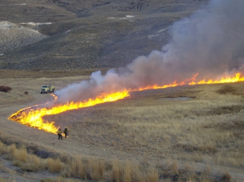 glowing prescribed burn with fire fighters nearby in sagebrush ecosystem