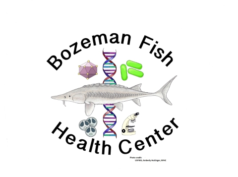 Photo of Bozeman Fish Health Center Logo with title and drawings of microscope, DNA Helix, Pallid Sturgeon, spores.