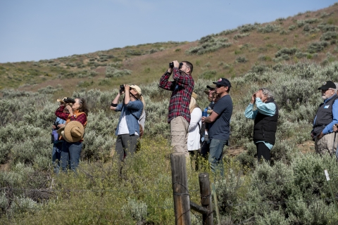 A group of people stand in a sagebrush landscape with bionoculars at their face