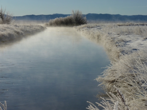 Frosted grass with mist rising from collection ditch.