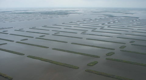 Coastal restoration terraces to promote wetland creation