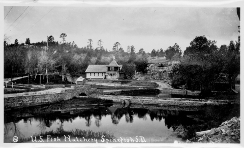 A historic black and white photograph looking over a pond lined with stone walls with the hatchery building in the background. Rising behind the hatchery building are cliffs atop which sit pine tress.