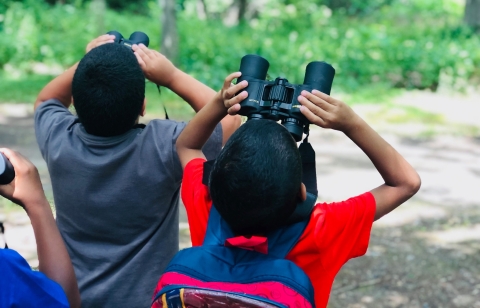 Two young boys using binoculars to look at birds
