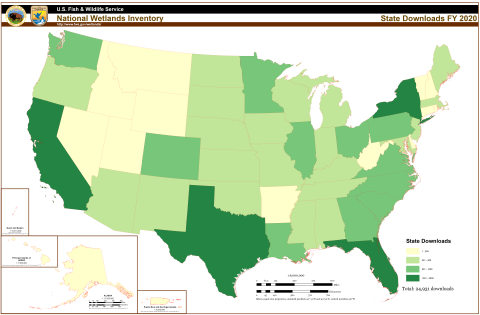 Map showing distribution of National Wetland Inventory state data downloads for fiscal year 2020