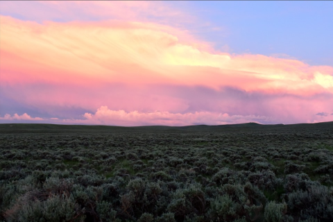 field at dawn with a pink tinted clouds in the distance 