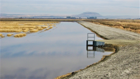 Walking Wetlands Field at Tule Lake NWR