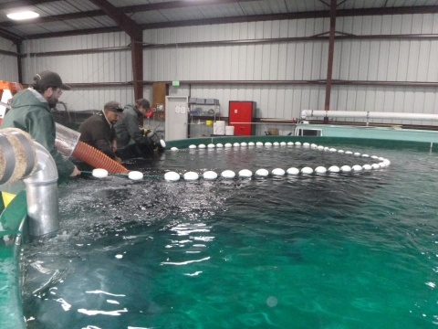 Water-Saving Aquaculture Systems