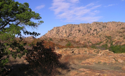A rocky rust-clay-colored landscape with a few trees growing through the rocky area