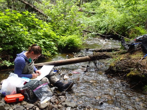 A woman in waders and ponytail sits on rocks in a stream with a pile of scientific gear, writing in a notebook.