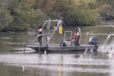 Carp research boat