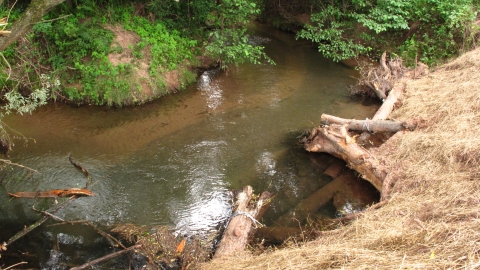 a clear stream with logs chained into the outer bank