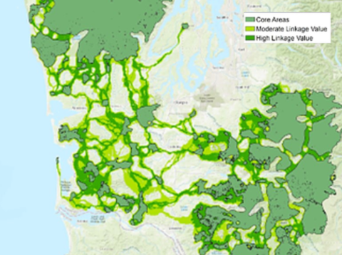 A map showing habitat connectivity across the Olympic Peninsula in Washington 