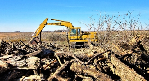 An excavator making a tree pile on Olson Lake waterfowl production area. 