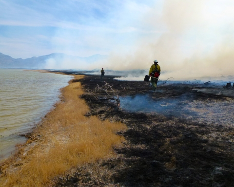Controlled Burn with Firefighters at Pahranagat NWR