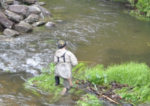 Trout fishing at Chattahoochee Forest National Fish Hatchery a positive economic impact