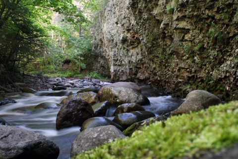 Water flows through narrow gorge with moss-covered rock in the foreground.