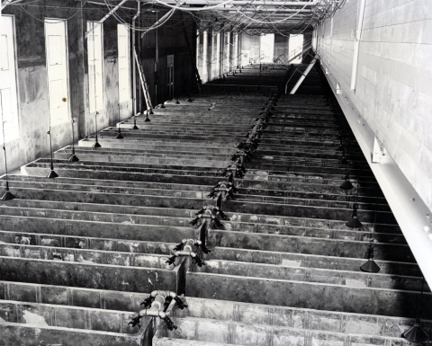 Black and white photos of concrete troughs closely packed into a very large concrete building, viewed from a loft.