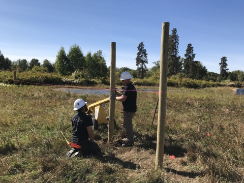 2 people in helmets and t-shirts install tall wooden posts in the ground.