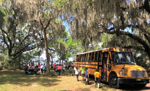 Yellow school bus parked under Spanish moss covered oak trees. A large group of children ages 8 to 12 are disembarking and sitting at picnic tables.