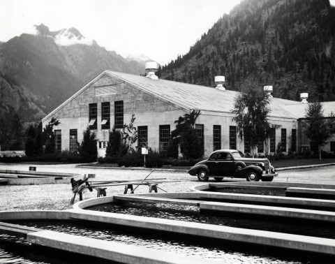 Black and white photo of oval fish ponds in foreground, 1940s cars in mid-ground, and a concrete building with tall windows in background.