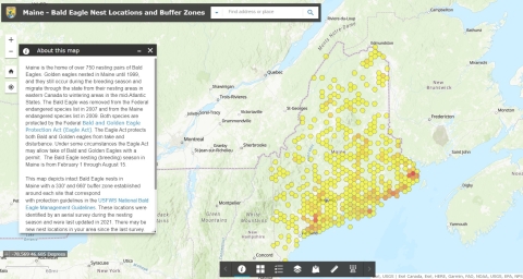 topographic map of Maine with colored hexagons for density of eagle nests