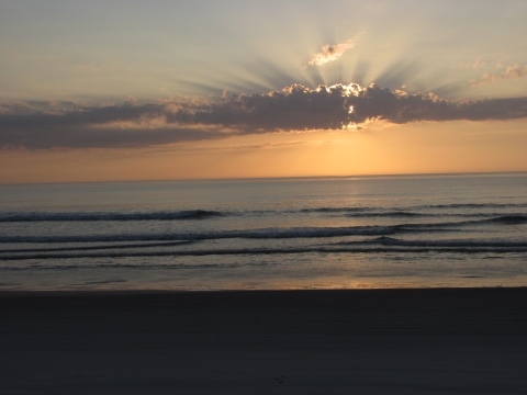 The sun rises over the Atlantic coastal beach, Merritt island National Wildlife Refuge
