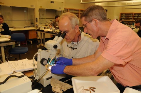 Students identify fish in the lab classroom