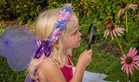 Little girl looks at monarch through eye glass