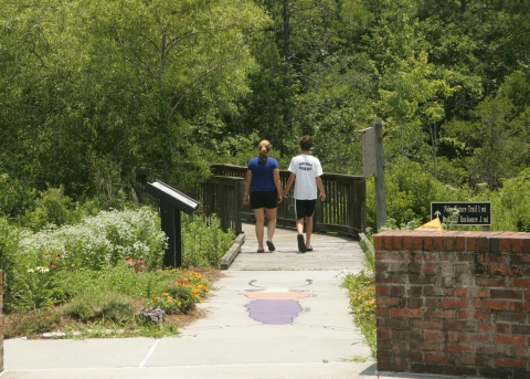 Young man and woman have walked past the pollinator gardens outside the Sewee Center and are on the Nebo Trail boardwalk. 