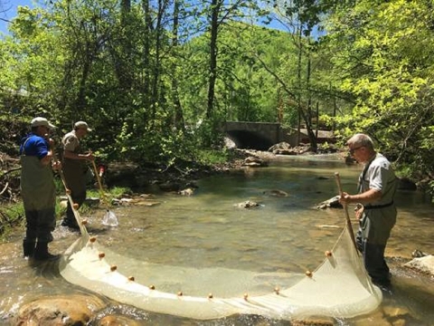 three people in hip waders stretch a net across a small stream.