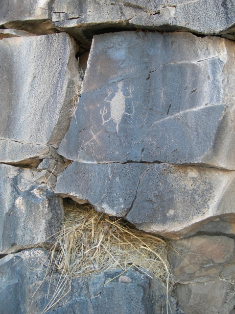 petroglyph on rock wall