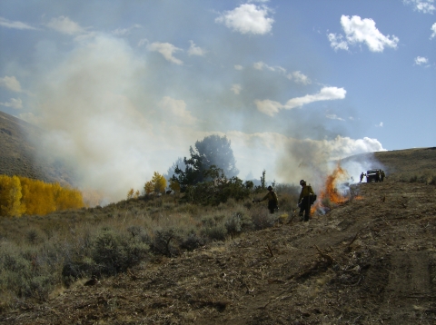 small controlled burns on a hillside with thin sagebrush and juniper