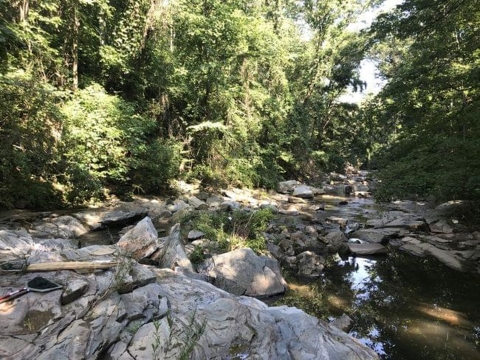 Proctor Creek in Atlanta, GA