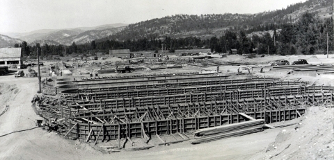 Black and white photo of long, oval forms laid for pouring concrete to make rearing ponds.