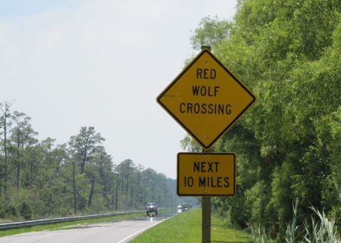 "A bright-yellow sign reads Red Wolf Crossing. It is on the side of U.S. 64 in eastern North Carolina.