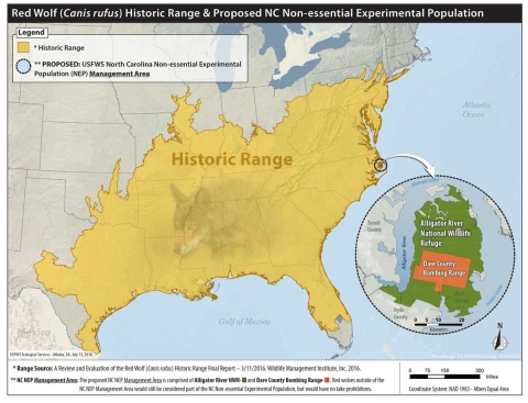 The historical range of the red wolf covers the southeast from Texas to New York to Florida and the non-essential experimental population management area.