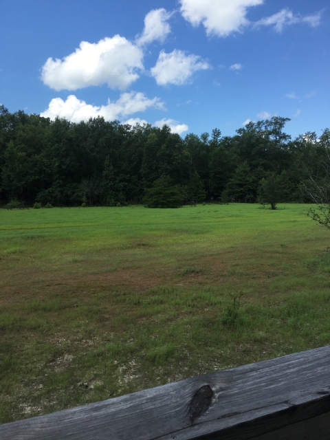 Observation tower overlooking a prairie habitat