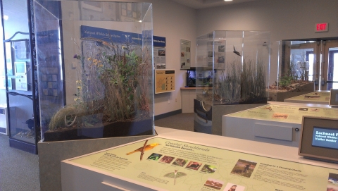 SPT habitat exhibits