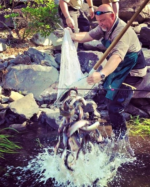 Stocking trout in Rock Creek at Chattahoochee Forest National Fish Hatchery