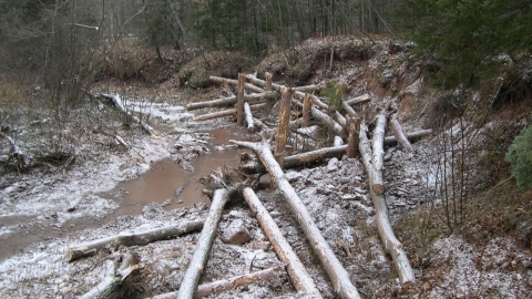 logs jammed into a streambank that is really muddy